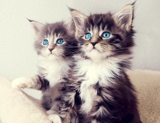 測(cè)繪CAD丨批量標(biāo)注坐標(biāo)，你不需要嗎？