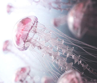 學(xué)習(xí)CAD！每天五個(gè)小技巧！這個(gè)系列趕快收藏！